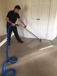 Professional carpet cleaning